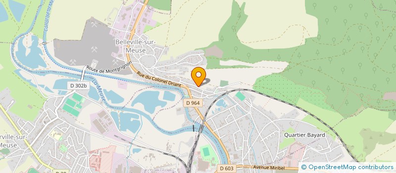 localisation de l'entreprise AGENCE MEUSE DIAGNOSTICS IMMOBILIERS  BELLEVILLE-SUR-MEUSE