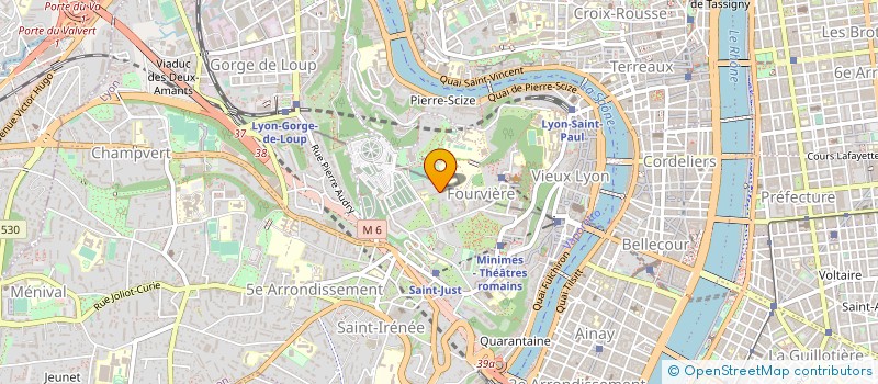 localisation de l'entreprise AGENCE MULTI SERVICE NETTOYAGE  LYON