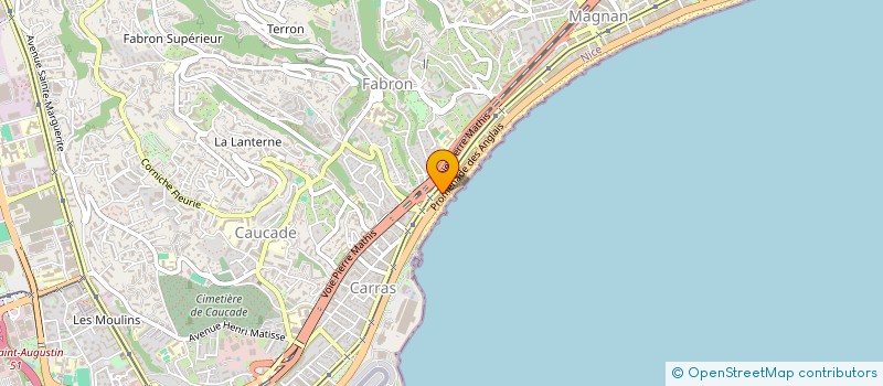 localisation de l'entreprise AGENCE POUR INVESTISSEMENT & IMMOBILIER à NICE