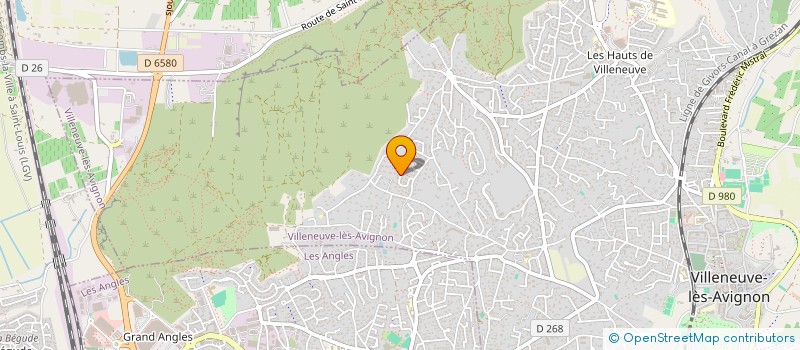 localisation de l'entreprise AGENCE PROFESSIONNELLE DE SECURITE  VILLENEUVE-LES-AVIGNON