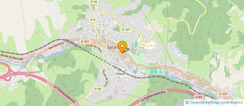 localisation de l'entreprise AGENCE REGIONALE DE GEOMETRES EXPERTS DE L'OUEST LYONNAIS EN ABREGE ARGEOL à TARARE