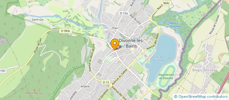 localisation de l'entreprise AGENCE SERGE BASTIEN  DIVONNE-LES-BAINS