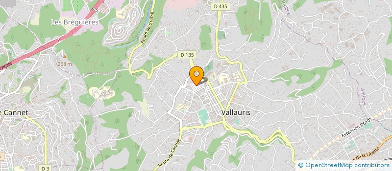 localisation de l'entreprise AGOR@ à VALLAURIS