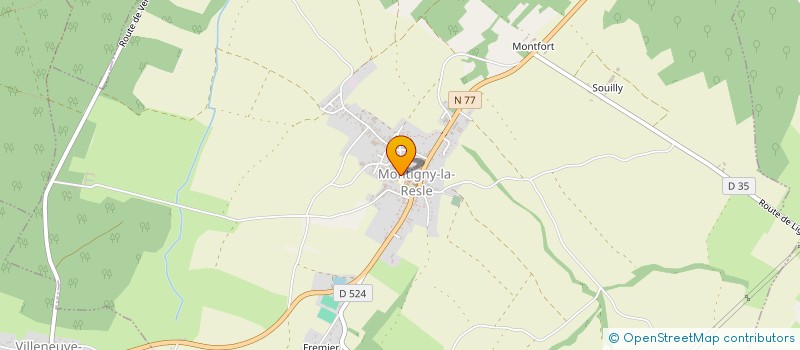 localisation de l'entreprise AGT  MONTIGNY-LA-RESLE