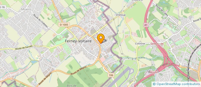 localisation de l'entreprise AI & CO à FERNEY-VOLTAIRE