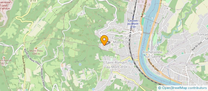 localisation de l'entreprise AI DEEPMONITOR  COUZON-AU-MONT-D'OR