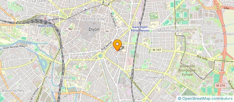 localisation de l'entreprise AIDANTS VIVANTS  DIJON