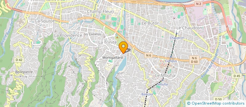 localisation de l'entreprise AIDE ET MAINTIEN A DOMICILE REUNIONNAIS à SAINT-DENIS