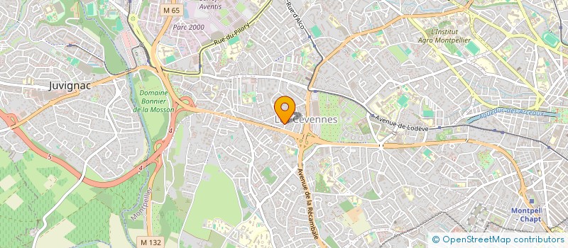 localisation de l'entreprise AIDE GESTION DES OEUVRES DU PERE SOULAS à MONTPELLIER