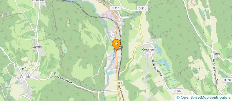 localisation de l'entreprise AIN BUGEY COLIS à CHAZEY-BONS