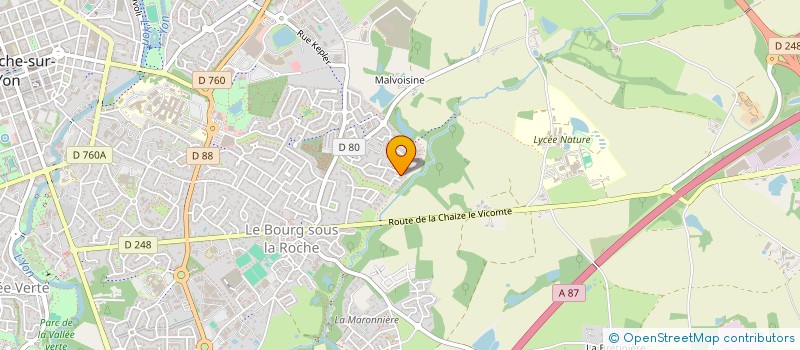 localisation de l'entreprise AION ART à LA ROCHE-SUR-YON
