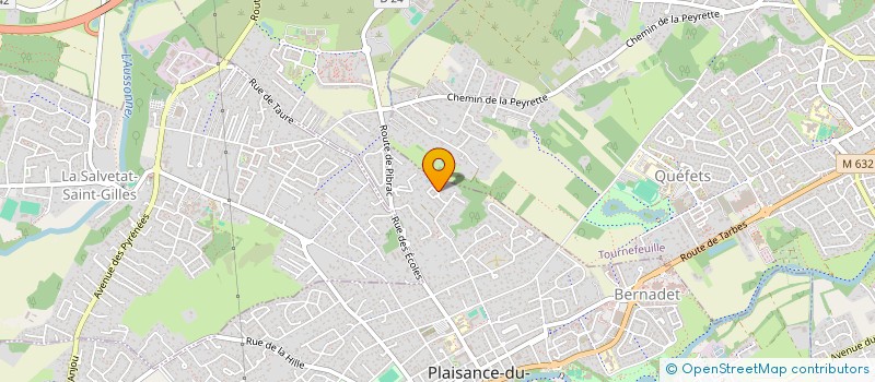 localisation de l'entreprise AIRTAXI 31 à PLAISANCE-DU-TOUCH