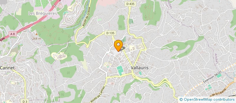 localisation de l'entreprise AISSA VIANDES HALLAL à VALLAURIS