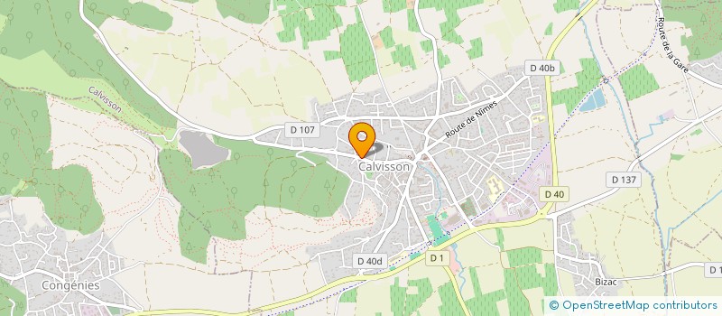 localisation de l'entreprise AKA REAL ESTATE  CALVISSON