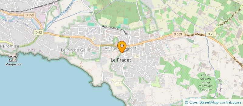 localisation de l'entreprise ALEX EN PROVENCE  LE PRADET