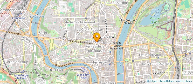 localisation de l'entreprise ALEX P DISTRIBUTIONS  LYON