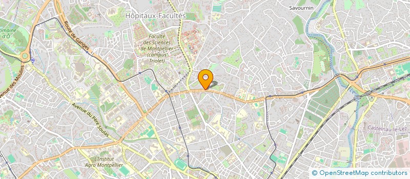 localisation de l'entreprise ALEXSAM CONSULT à MONTPELLIER