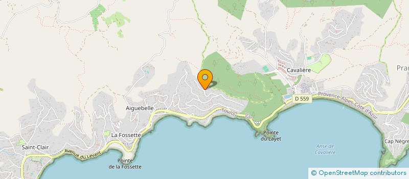 localisation de l'entreprise ALFRED 83 à LE LAVANDOU