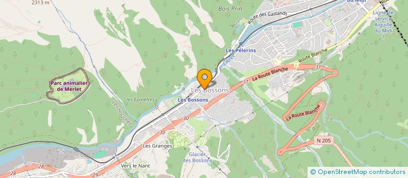 localisation de l'entreprise ALGOL IMMOBILIER à CHAMONIX-MONT-BLANC