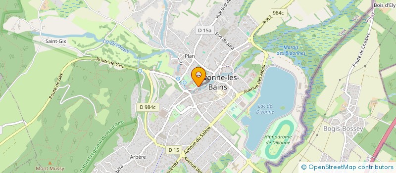 localisation de l'entreprise ALI BABA  DIVONNE-LES-BAINS