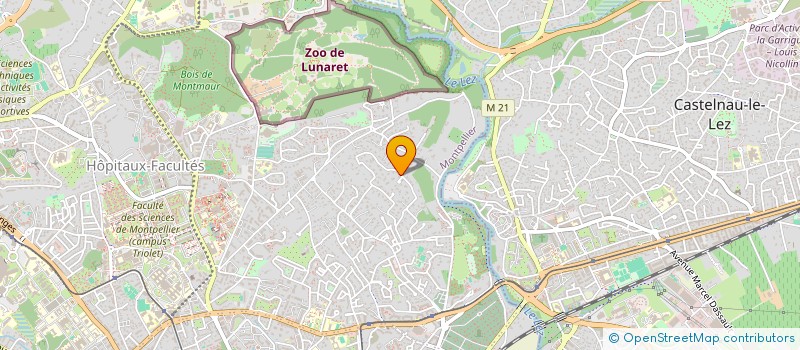 localisation de l'entreprise ALIEL CUSTOMER EXPERIENCE DESIGN à MONTPELLIER