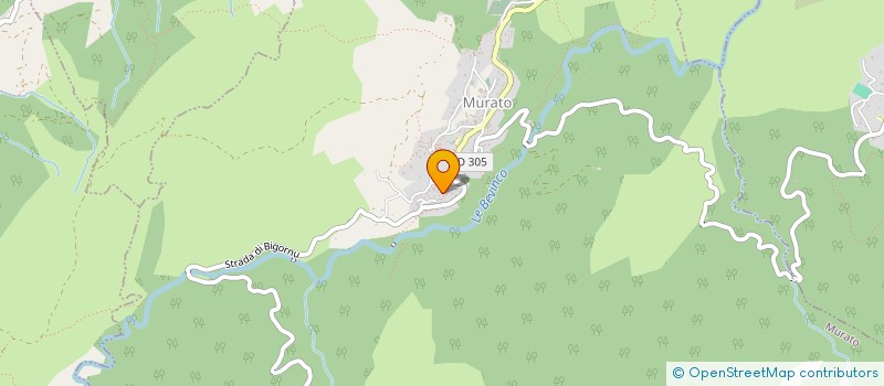 localisation de l'entreprise ALIMENTATION BORRAGINI à MURATO