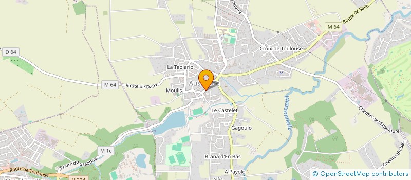 localisation de l'entreprise ALINE FLEURS à AUSSONNE