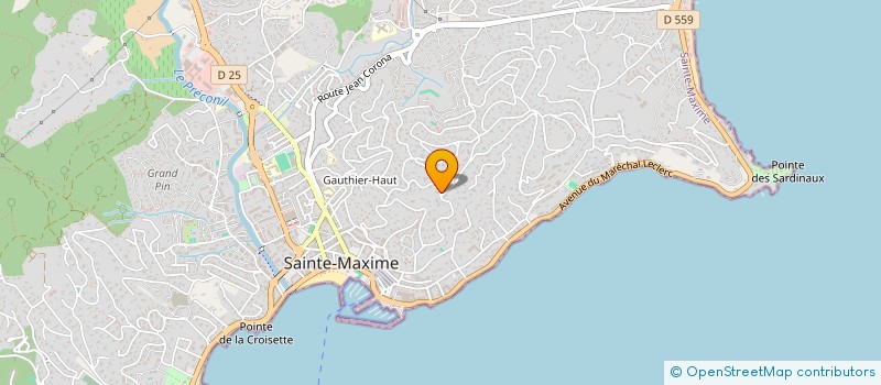 localisation de l'entreprise ALINEA à SAINTE-MAXIME