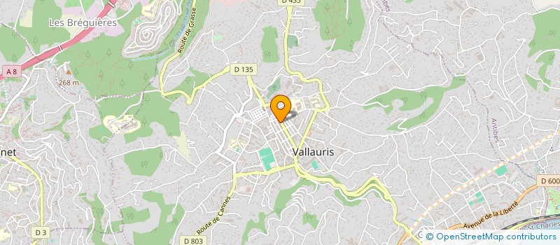 localisation de l'entreprise ALL SERVICES à VALLAURIS