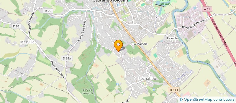 localisation de l'entreprise ALLIACE  CASTANET-TOLOSAN