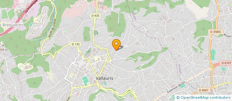 localisation de l'entreprise ALLIAGE  VALLAURIS