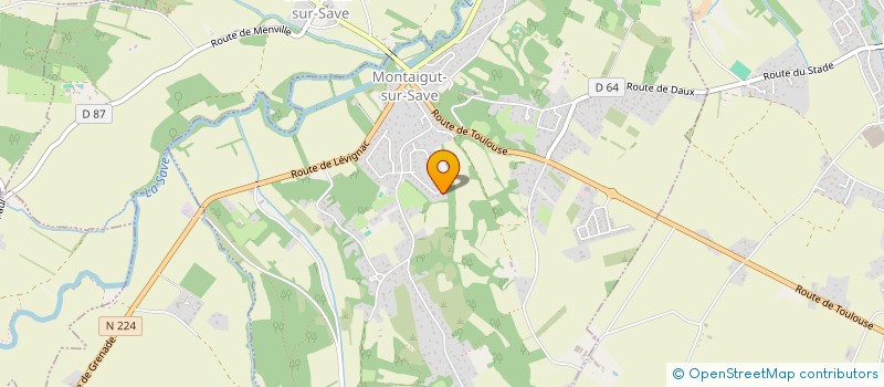 localisation de l'entreprise ALLIANCE  MONTAIGUT-SUR-SAVE