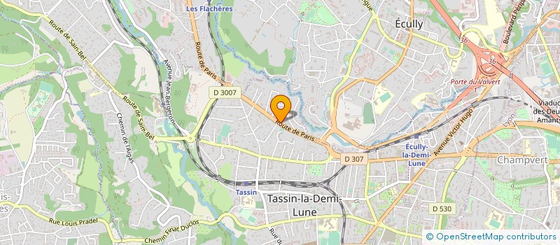 localisation de l'entreprise ALLIANCE BOIS à TASSIN-LA-DEMI-LUNE