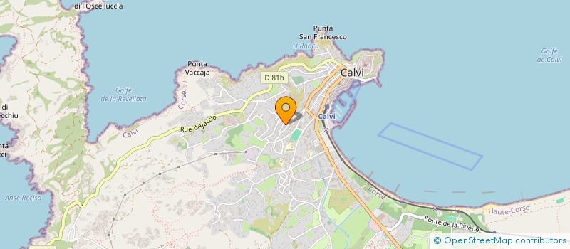 localisation de l'entreprise ALLIANCE EUROPEENNE FINANCIERE SERVICES à CALVI