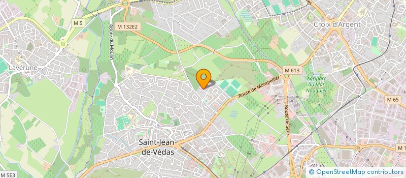 localisation de l'entreprise ALLIANCE IMMOBILIER D'ENTREPRISE  SAINT-JEAN-DE-VEDAS