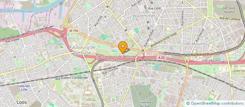 localisation de l'entreprise ALLIANCE INGENIERIE CONSEIL à LILLE