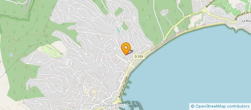 localisation de l'entreprise ALLIANCE NETTOYAGE à CAVALAIRE-SUR-MER