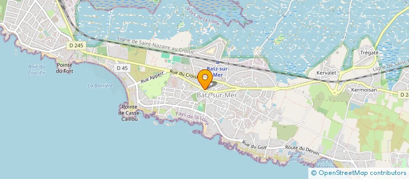 localisation de l'entreprise ALLIANCE PRESENCE IMMOBILIER  BATZ-SUR-MER