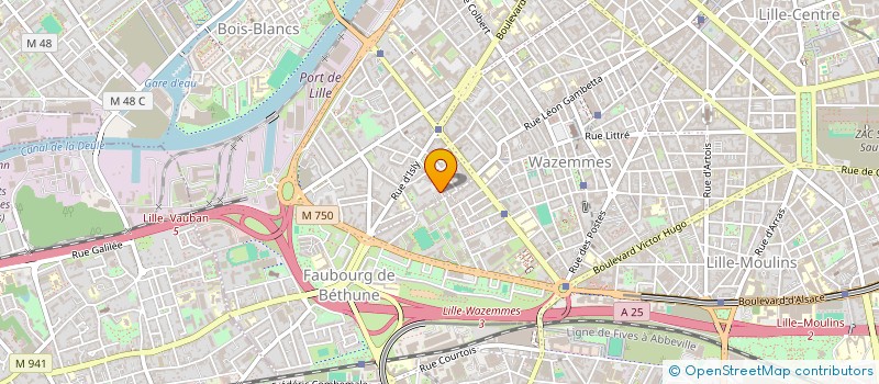 localisation de l'entreprise ALLIANCES à LILLE