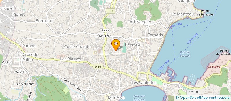 localisation de l'entreprise ALLINE VTC  LA SEYNE-SUR-MER