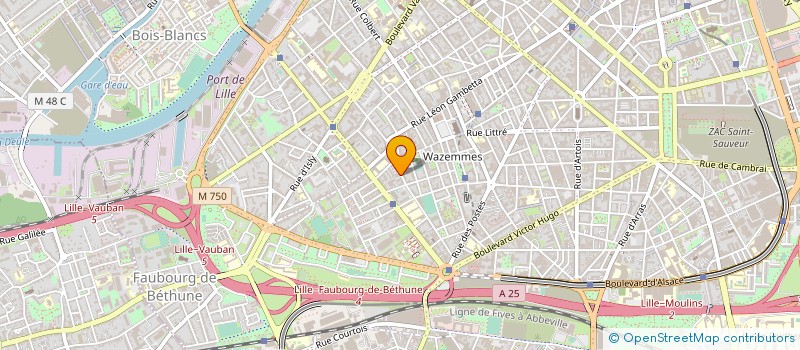 localisation de l'entreprise ALLO GOM AUTO à LILLE