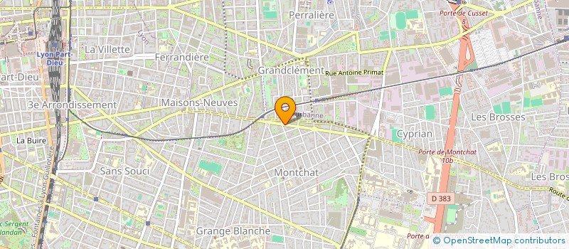 localisation de l'entreprise ALLO NOUNOUS  LYON