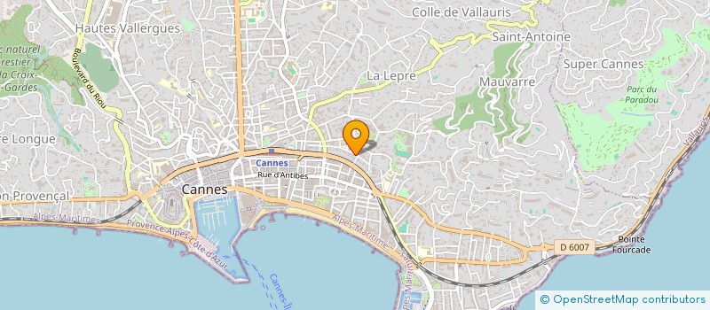localisation de l'entreprise ALLO SERVICES PRO à CANNES