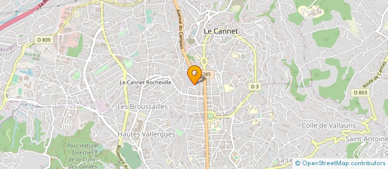 localisation de l'entreprise ALLO SWING à LE CANNET