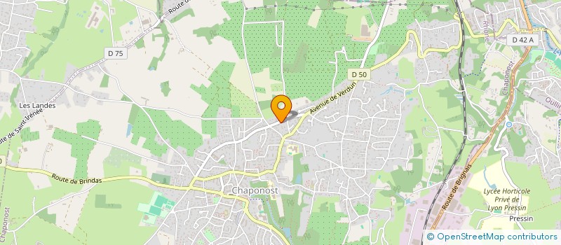 localisation de l'entreprise ALLUMAX  CHAPONOST