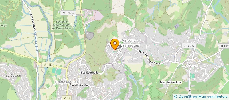 localisation de l'entreprise ALMA VIVA  SAINT-VINCENT-DE-BARBEYRARGUES