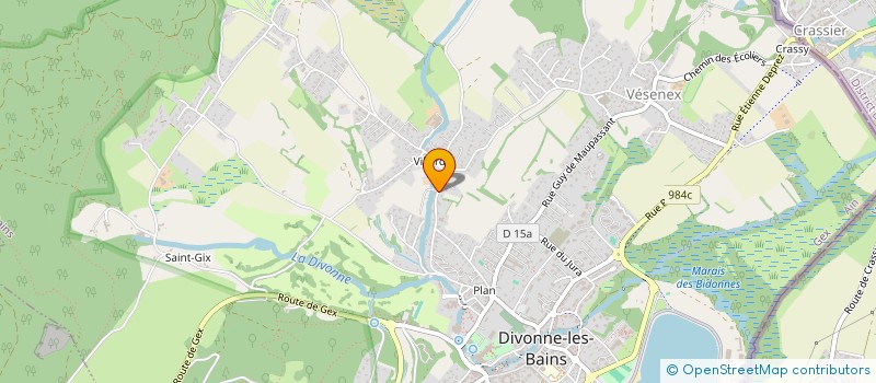 localisation de l'entreprise ALNAKEEL  DIVONNE-LES-BAINS