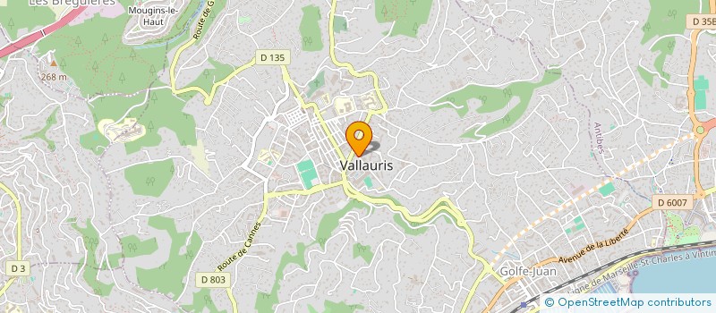 localisation de l'entreprise ALPAZUR MACHINES A BOIS à VALLAURIS