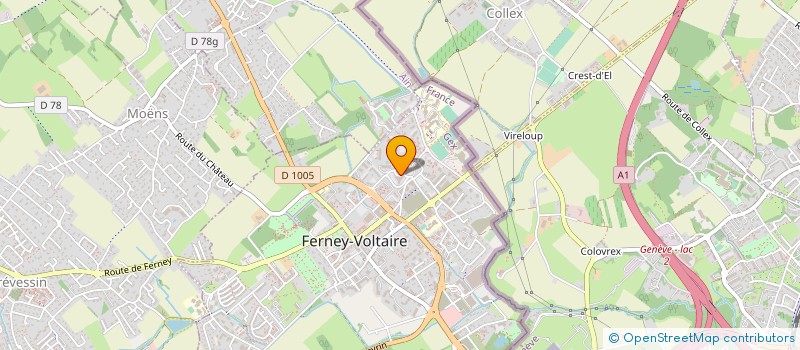 localisation de l'entreprise ALPES DIAGNOSTICS IMMOBILIER à FERNEY-VOLTAIRE