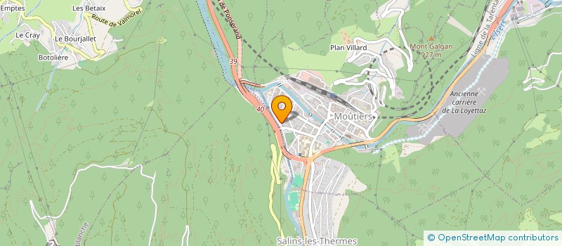 localisation de l'entreprise ALPES PEINTURES  MOUTIERS